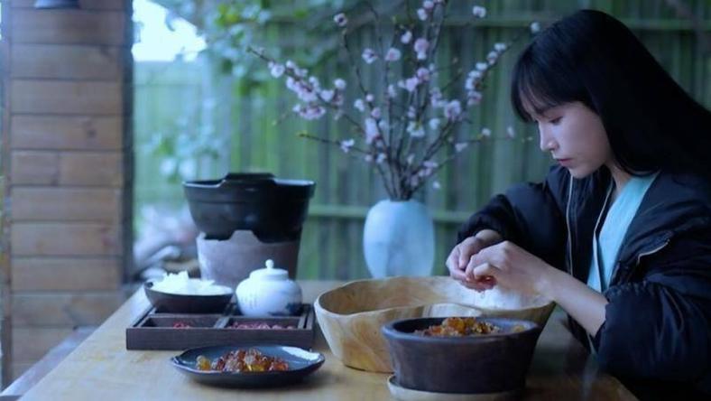 放过李子柒吧,人家拍视频真的只是想恰饭而已